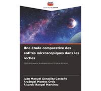 Une étude comparative des entités microscopiques dans les roches: Implications pour la panspermie et l'origine de la vie
