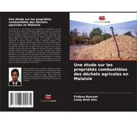 Une Étude Sur Les Propriétés Combustibles Des Déchets Agricoles En Malaisie
