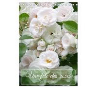 Une fête des roses (Calendrier de bureau 2026 DIN A5 horizontal), CALVENDO calendrier mensuel: La floraison des roses est toujours un festival pour les sens