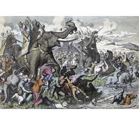Une force d'éléphants de guerre romains dans la bataille. Les Romains ont utilisé des éléphants dans de nombreuses batailles. Ils les ont amenés d'Afrique du Nord après avoir vaincu les Carthiginiens