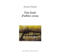 Une Forêt D'arbres Creux