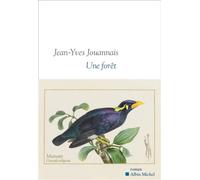 Une forêt - Jean-Yves Jouannais - Albin Michel - broché - Roman