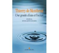 Une goutte d'eau et l'océan Journal d'une quête de sens 1977-2014 - Thierry de Montbrial - Albin Michel - broché - Essai