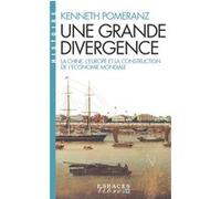Une grande divergence (Espaces Libres - Histoires) Kenneth Pomeranz (Auteur), Nora Wang (Traduction), Mathieu Arnoux (Traduction)