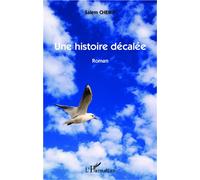 Une histoire décalée Roman - Salem Cheikh - L'harmattan - broché - Roman