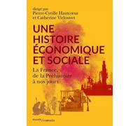 Pour une histoire économique et sociale: La France, de Néandertal à nos jours
