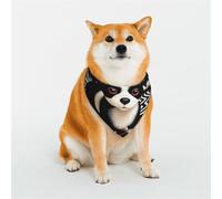 Une jolie écharpe triangulaire élégante pour animal de compagnie, accessoire pour animal domestique, lavable, pour fille, garçon, chien ou chat, taille S