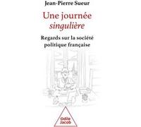Une journée singulière Jean-Pierre Sueur (Auteur)