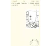 Une lampe dans la lumière aride: Carnets 1949-1955
