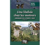 Une libellule chez les vautours