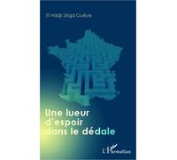 Une lueur d'espoir dans le dédale - El Hadji Séga Gueye - L'harmattan - broché - Roman