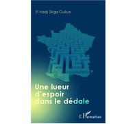 Une lueur d'espoir dans le dédale - El Hadji Séga Gueye - L'harmattan - broché - Roman