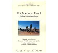 Une Marche En Liberté, Émigration Subsaharienne - Jean-Paul Dzokou-Newo : La Traversée D'un Enfer Européen Au Maghreb