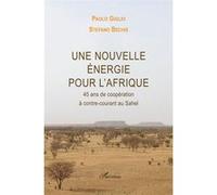 Une Nouvelle Énergie Pour L'afrique - 45 Ans De Coopération À Contre-Courant Au Sahel