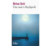 Une nuit à Reykjavík