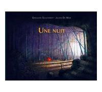 Une nuit Grégoire Solotareff (Auteur), Julien de Man (Illustration)