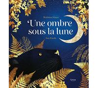 UNE OMBRE SOUS LA LUNE