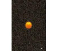 Une orange roulant sur le sol d'un parking Vincent Ravalec (Auteur)