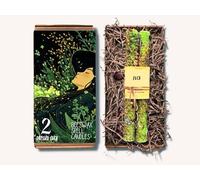Une paire de grandes bougies en cire d'abeille habillées d'herbes et de fleurs magiques - 2 pièces - Roulées à la main (chance)