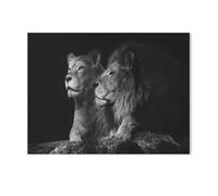 Une Paire de Lions，Puzzle 1000 Pièces Puzzle en Papier d'impression Haute Définition Défiez Le Problème Stimuler La Créativité Jeu Interactif（50x70cm）-I58