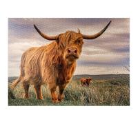Une paire stricte de vaches des Highlands capturées sur la côte nord de l'Écosse - Puzzle de qualité supérieure de 1000 pièces pour adultes