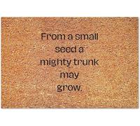 Une Petite Graine Peut Faire Pousser Une Graine Puissante Tapis De Porte Anti-Salissures Tapis De Bain Imperméable Paillasson Exterieur pour Extérieur Entrée Intérieur 40 X 60Cm