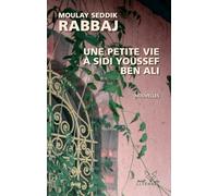 Une petite vie à sidi Youssef Ben Ali