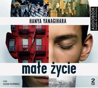 Une petite vie - Hanya Yanagihara (Buch auf Polnisch)