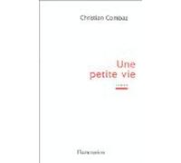 Une petite vie: - ROMAN