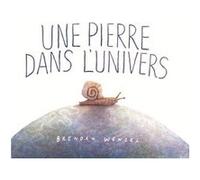 Une pierre dans l'univers Brendan Wenzel (Auteur)