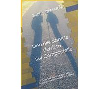 Une pile dans le derrière sur Compostelle: De la Tour Saint Jacques à Irun par les voies de Tours et du Littoral