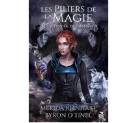 Une pincée de désespoir: Les piliers de la magie, T2