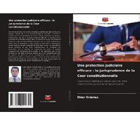 Une Protection Judiciaire Efficace : La Jurisprudence De La Cour Constitutionnelle