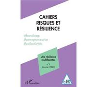 Une résilience multifacettes Gilles Teneau (Auteur)