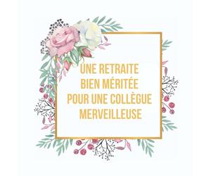 Une Retraite Bien Méritée pour une Collègue Merveilleuse - Livre d'Or: Idée de cadeau original pour pot de départ à la retraite d'un collègue. 100 ... avec des messages, photos, remerciements...