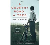 Une route de campagne, un arbre