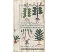 Une sélection de plantes, y compris des plantes aquatiques. Après une illustration de Mirza Baqir dans un livre iranien du XIXe siècle du médecin et botaniste grec Pedanius Dioscorides du 1er siècle