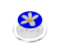 Une Seule Fleur de Prunier isolée PopSockets PopGrip pour MagSafe