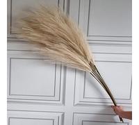 Une seule tige artificielle de pampa en faux, grande tige de 115 cm de long, pelucheuse, artificielle, couleur vive, herbe de pampa séchée, style fleur décorative (naturelle)