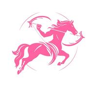 une silhouette stylisée audacieuse d'un centaure tenant un arc et des flèches sur un cercle Stickers muraux en vinyle 42x48.7cm Décoration artistique Rose