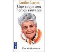 Une soupe aux herbes sauvages