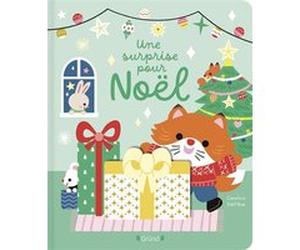 Une surprise pour Noël Caroline Dall'Ava (Illustration)