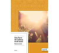 Une Terre de Cailloux et de Soleil - Florence Levet - Nombre 7 - broché - Roman