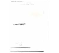 Une traduction d'une langue en une autre