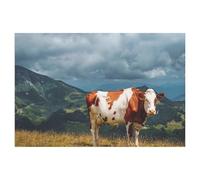 Une Vache Rouge-Brun et Blanche Debout paisiblement sur Un alpage avec Une Vue Magnifique sur Les Montagnes，Puzzle De 1000 Pièces, Jouets De Puzzle Drôles Et Décontractés d'image Hd-AM80
