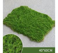 Une verdure vivante simplifiée : notre gazon artificiel réaliste est parfaitement conçu pour n'importe quel environnement (vert, 101,6 x 152,4 cm)