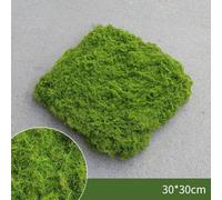 Une verdure vivante simplifiée : notre gazon artificiel réaliste est parfaitement conçu pour n'importe quel environnement (vert pâle 76,2 x 76,2 cm)