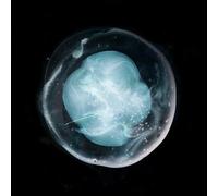 Une Victoire Ailée Pour Les Tristes - Les Cinq Indivis