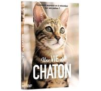 Une Vie De Chaton