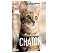 Une vie de chaton DVD DVD